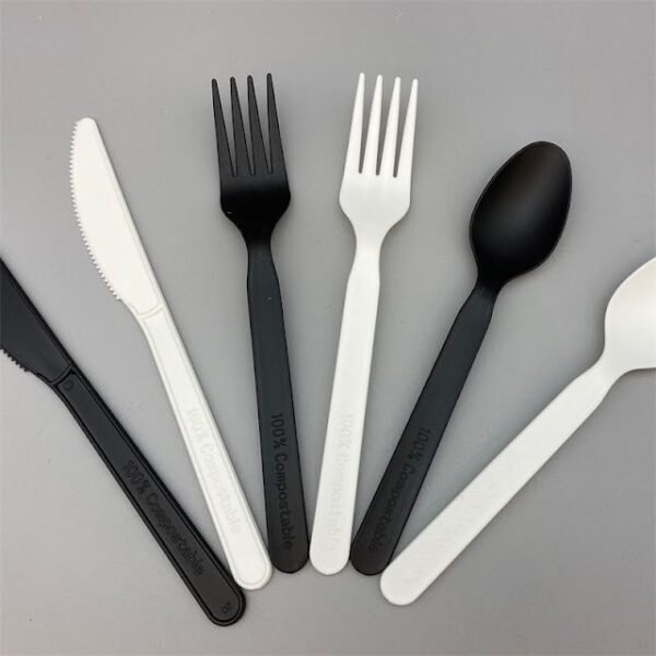 Bagasse Cutlery - Image 4