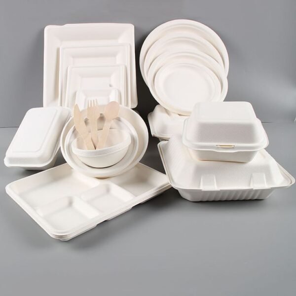 Bagasse Plates - Image 6