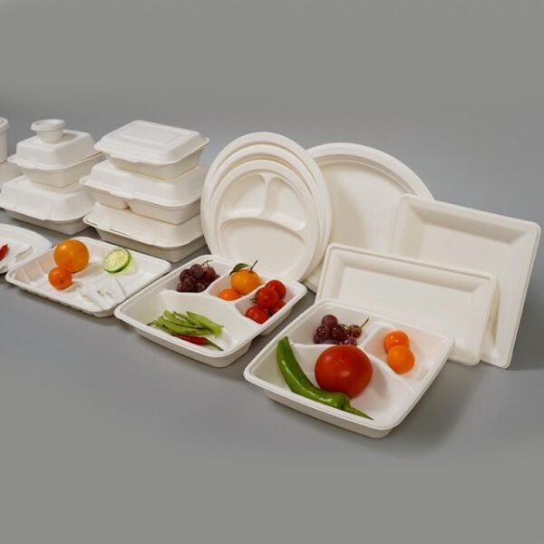 Bagasse Plates - Image 2