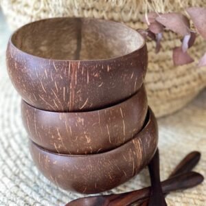 Coconut Shell Bowls