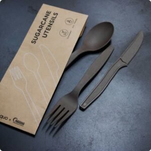 Bagasse Cutlery
