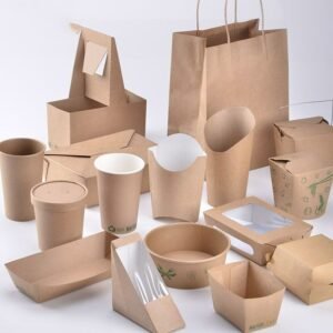 Eco friendly paper food packaging