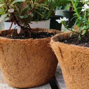 Coconut coir planters
