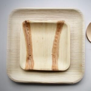 Areca Palm Leaf Dinnerware
