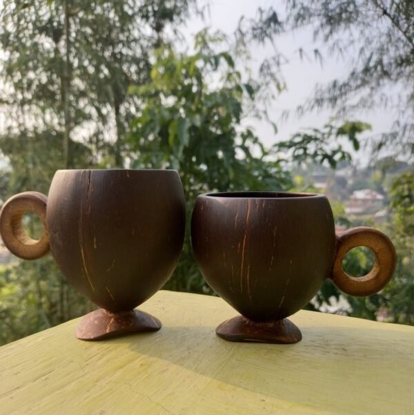 Coconut shell cups