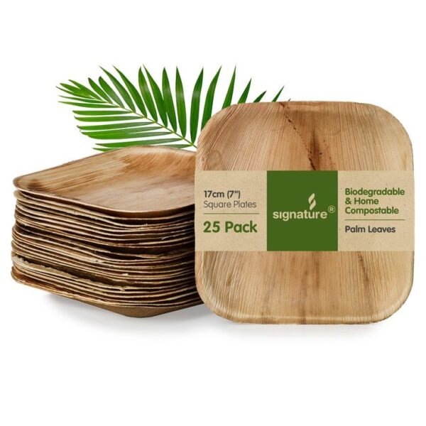 Areca Palm Leaf Dinnerware - Image 2