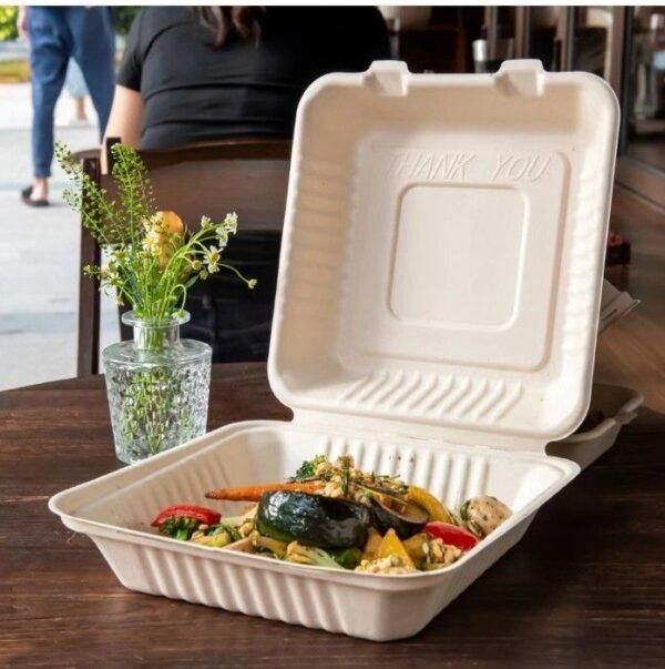 Bagasse Food Packaging Containers - Image 2