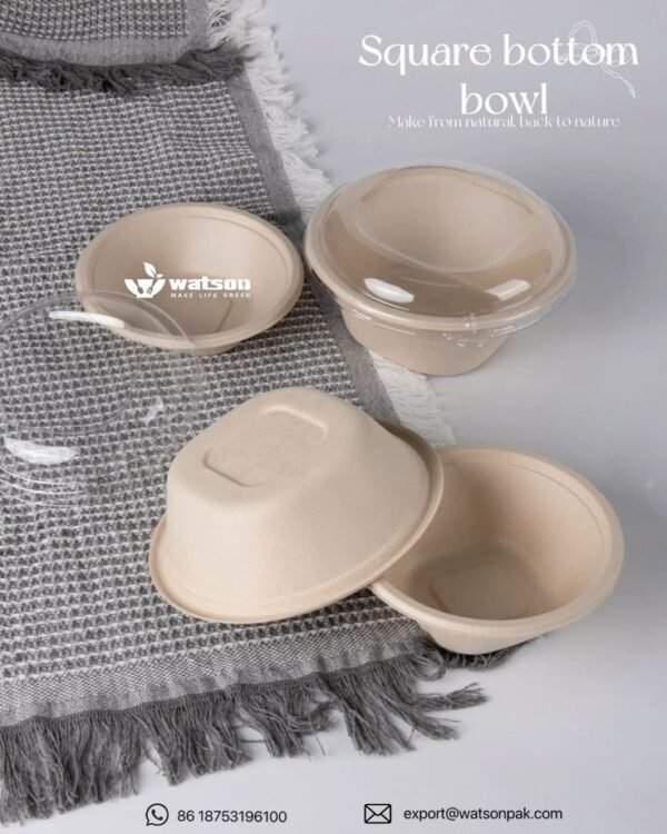 Bagasse Food Packaging Containers - Image 8