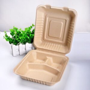 Bagasse Food Packaging Containers