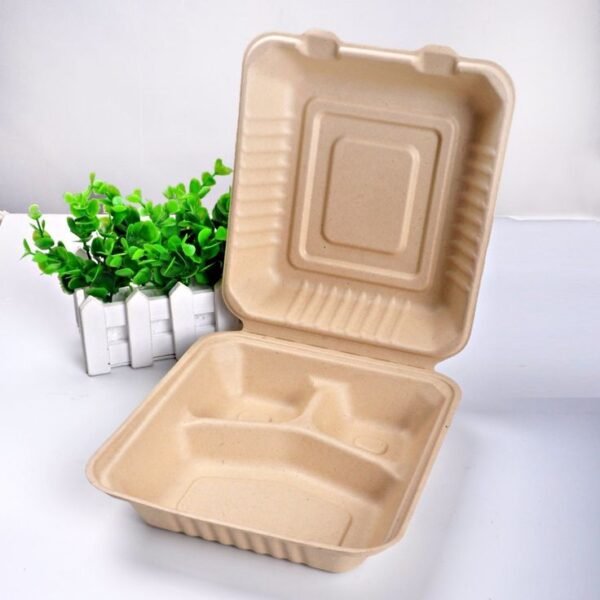 Bagasse Food Packaging Containers