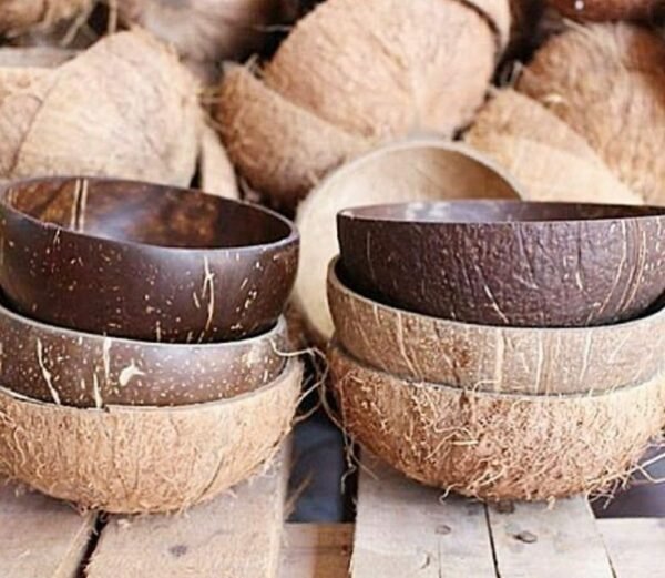 Coconut Shell Bowls - Image 5